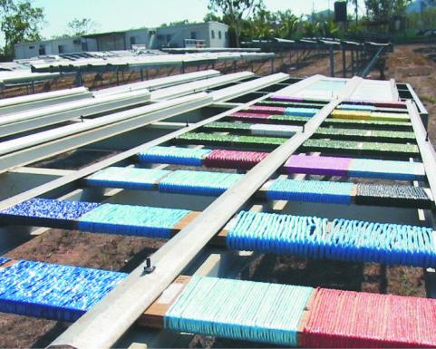 Rows of turf yarn samples on outdoor exposure racks under open sky