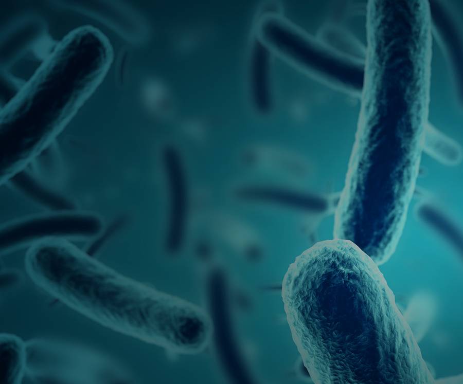 Manufacturer illustration: silver-based Sanitised particles acting on microbes along the turf fibre surface