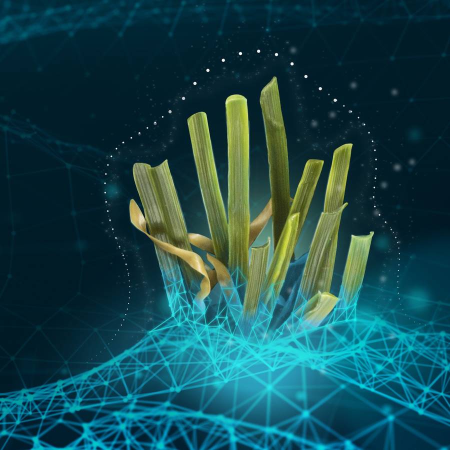 Manufacturer illustration: static charge dispersing from a StatBlock-treated turf fibre